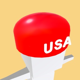 USA Swim Cap