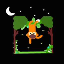 Monkey in the rainforest