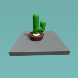 Cactus