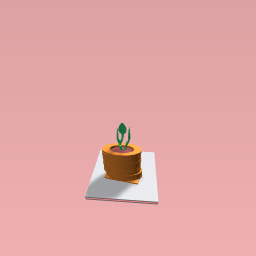 Plant pot