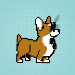 Corgi