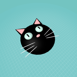 Unlucky cat