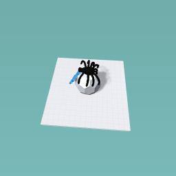 spider