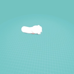 Cat paw
