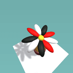 Warner sibling colors