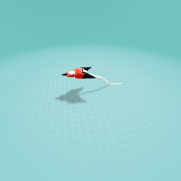 My kite with a long tail!