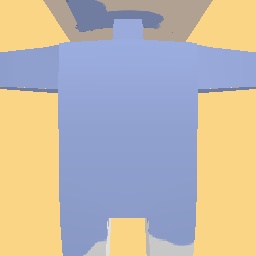 new costume