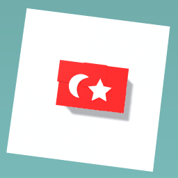 A TURKISH flag
