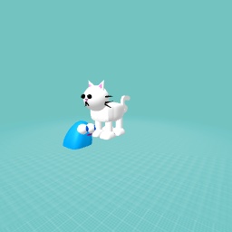 Blueblobbo looks at a cat