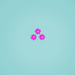 meera alkaabiShoeSmart