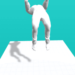 Me doing a backflip.