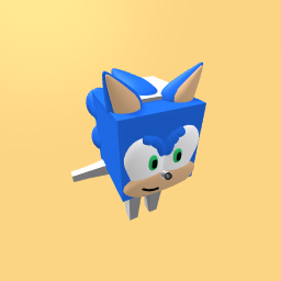 Sonic’s Head