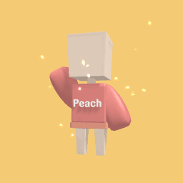 Aesthetic Peach Official Merch 