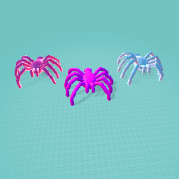 le spiders