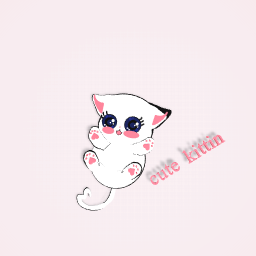 cute kitten