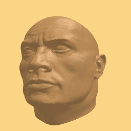 The rock