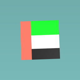 uae flag