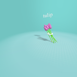 tulip