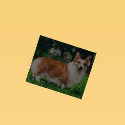 ッツチーチーチ。(Corgi)