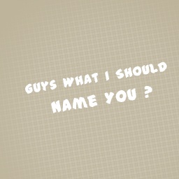 Guys What I Should Name You ?