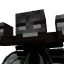 Wither skeletonStrong