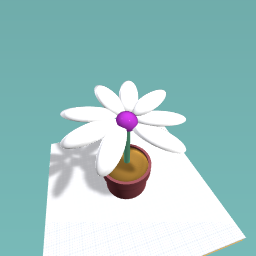 wtyuioiuywwertjkkytrewqwertyuuytrewq