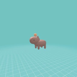 Lil capy