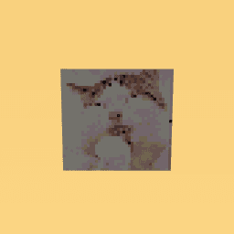 Kitty do you see it?