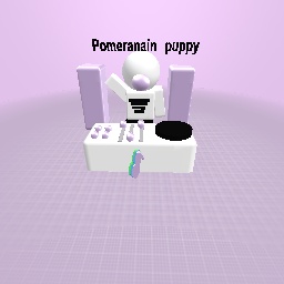 Pomeranain puppys model