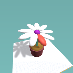 Flower with one color well white is a color