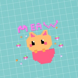 A cat