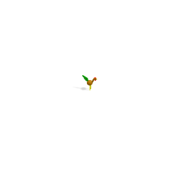 rooster