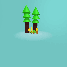 Forest with big trees