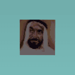Zayed bin sultan