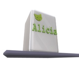 Alicia's Personalised Bin