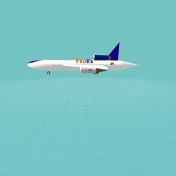 FedEx flight 80 landing gear extended