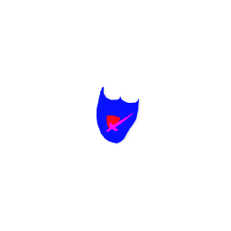 Rowan of rin shield
