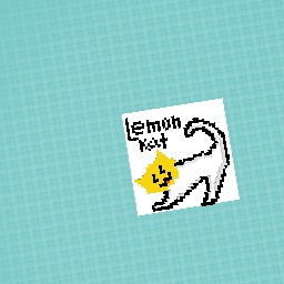 Lemon cat cute cat