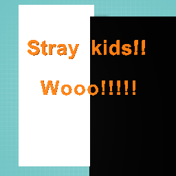 Stray kids!!!