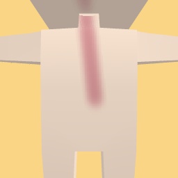 new costume