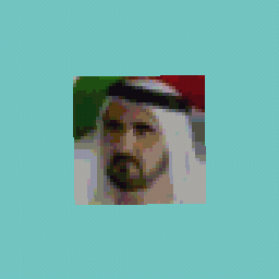 Al Shaykh  Mohammed bin Rashid