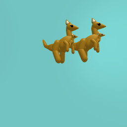 kangaroo