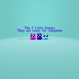 The 3 Sisters are Ready For Adoption!
