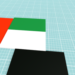 UAE Flag