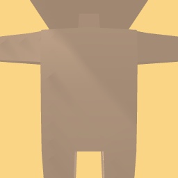 new costume
