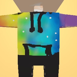 Rainbow swetshirt