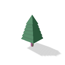 Pine tree 松の木