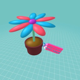 Mrs fersa's plant