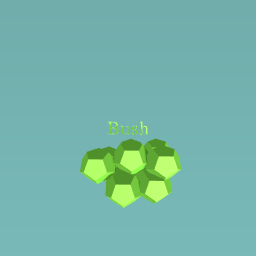 Bush