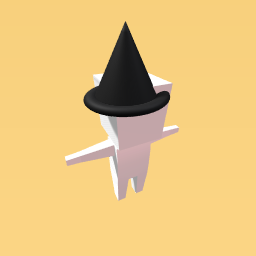 Harry Potter Hat